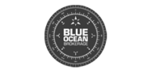 blueocean icon